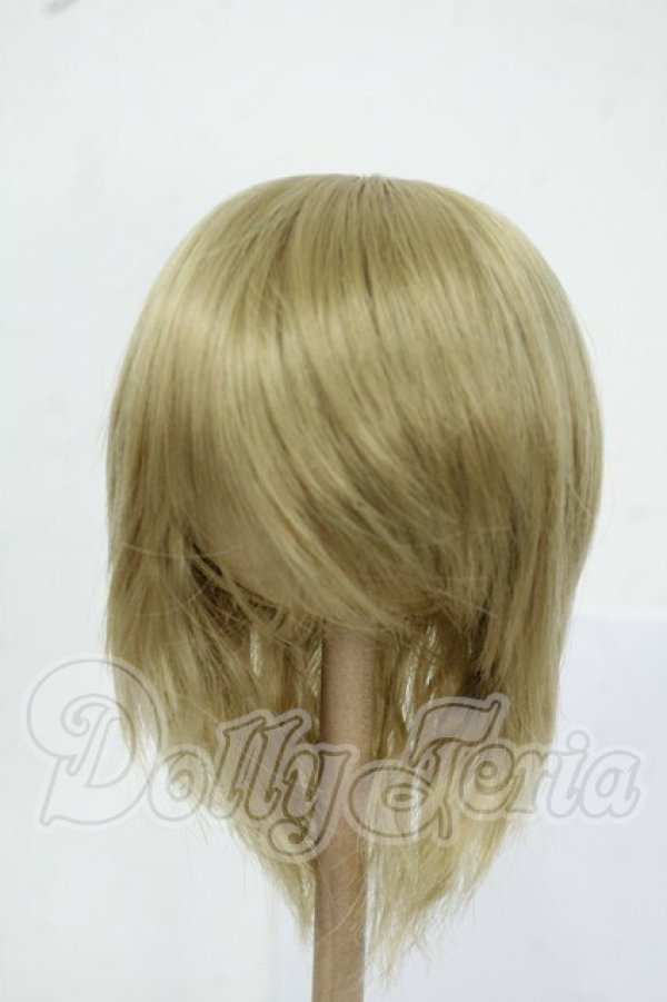画像1: 8-9inch/ウィッグ Y-26-05-22-158-WT-ZY (1)
