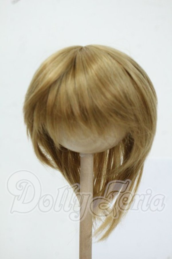 画像1: 8-9inch/ウィッグ Y-26-05-22-154-WT-ZY (1)