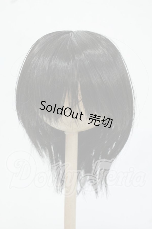 画像1: 8-9inch/ウィッグ Y-26-05-22-159-WT-ZY (1)