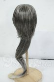 画像2: 8-9inch/ウィッグ Y-26-05-22-161-WT-ZY (2)