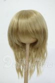 画像1: 8-9inch/ウィッグ Y-26-05-22-167-WT-ZY (1)