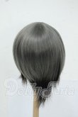 画像2: 7-8inch/ウィッグ Y-26-05-22-173-WT-ZY (2)