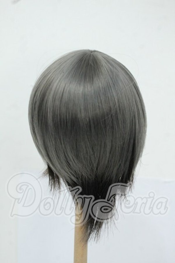 画像2: 7-8inch/ウィッグ Y-26-05-22-173-WT-ZY (2)