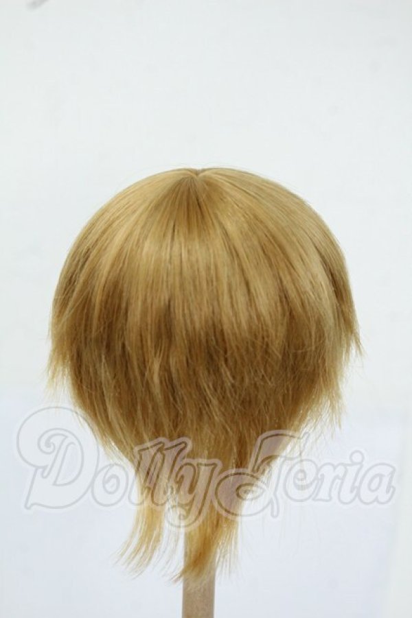 画像2: 7-8inch/ウィッグ Y-26-05-22-157-WT-ZY (2)