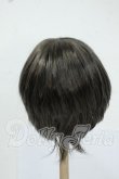 画像2: 8-9inch/ウィッグ Y-26-05-22-179-WT-ZY (2)