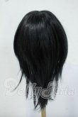 画像2: 8-9inch/ウィッグ Y-26-05-22-177-WT-ZY (2)