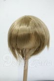 画像1: 8-9inch/ウィッグ Y-26-05-22-237-WT-ZY (1)