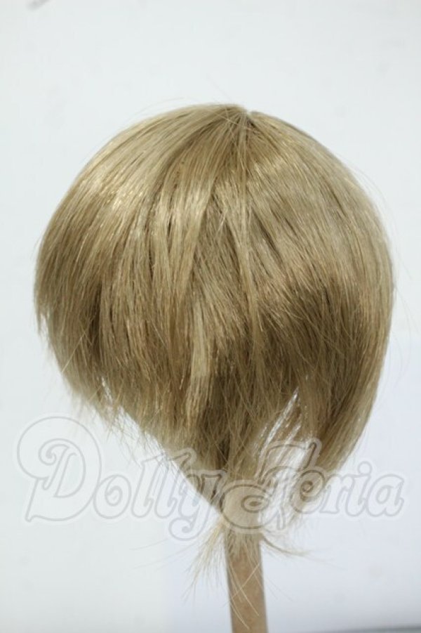 画像2: 8-9inch/ウィッグ Y-26-05-22-237-WT-ZY (2)