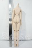 画像2: DD/ベースボディ(DD-f3) Y-26-05-22-300-WT-ZY (2)