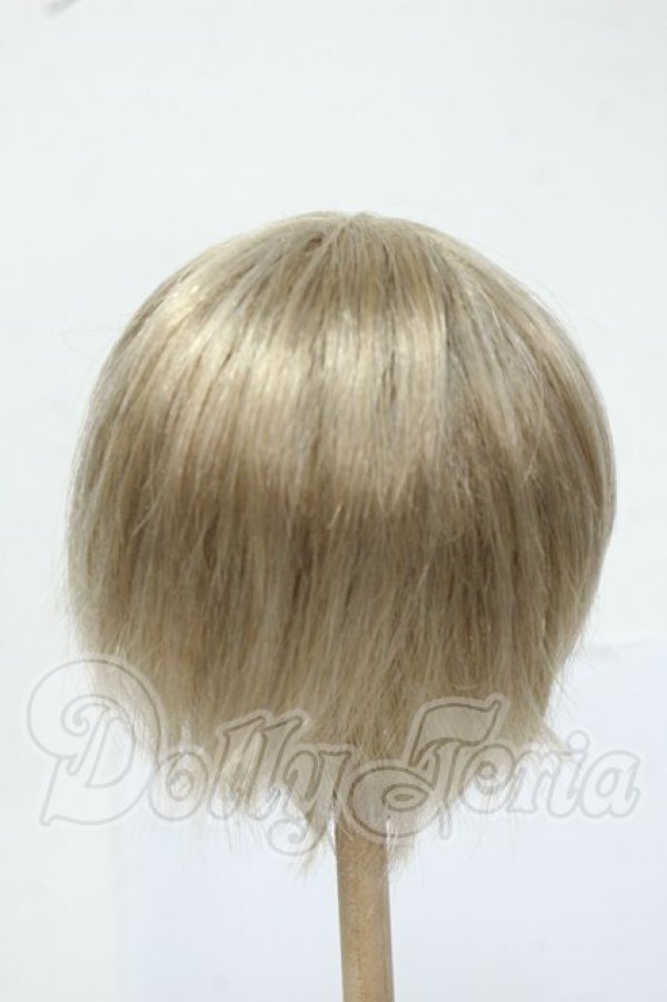 画像2: 8-9inch/ウィッグ Y-26-05-29-276-WT-ZY (2)