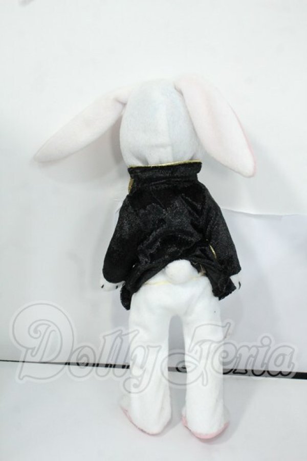 画像3: LDD/Eggzorcist as The White Rabbit Y-26-05-29-089-WT-ZY (3)