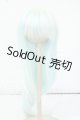 画像: 8-9inch/ウィッグ Y-26-06-02-144-WT-ZY