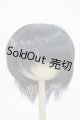 画像: 8-9inch/ウィッグ Y-26-06-02-140-WT-ZY