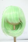 画像1: 9inch/DOLLCE製 ウィッグ Y-26-06-02-149-WT-ZY (1)