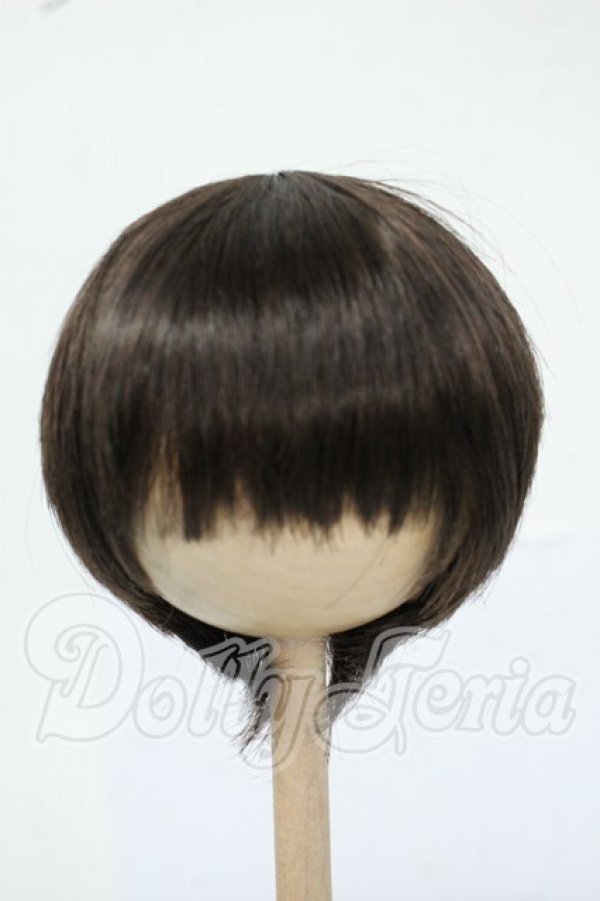 画像1: 9inch/DOLLCE製 ウィッグ Y-26-06-02-168-WT-ZY (1)