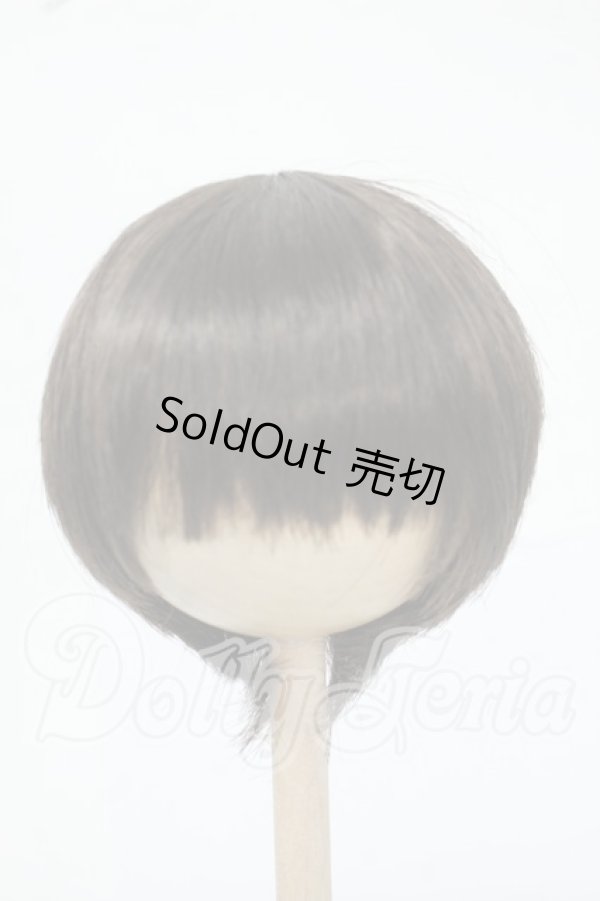 画像1: 9inch/DOLLCE製 ウィッグ Y-26-06-02-168-WT-ZY (1)