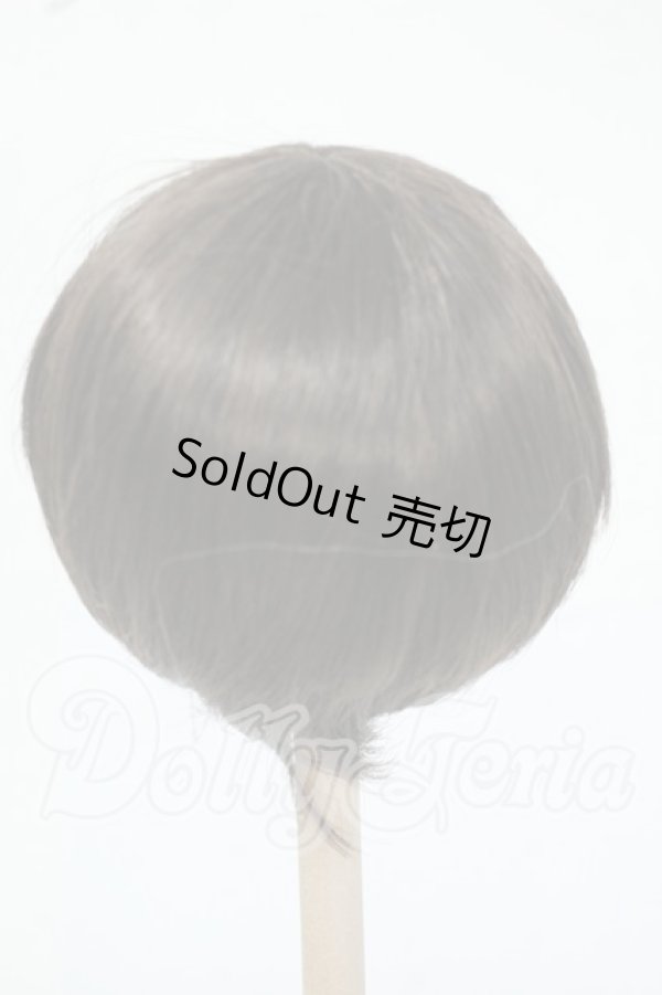 画像2: 9inch/DOLLCE製 ウィッグ Y-26-06-02-168-WT-ZY (2)
