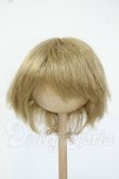 画像1: 8-9inch/ウィッグ Y-26-06-02-156-WT-ZY (1)