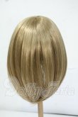 画像2: 7-8inch/ウィッグ Y-26-06-02-175-WT-ZY (2)