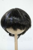 画像1: 8-8.5inch/ウィッグ Y-26-06-02-167-WT-ZY (1)