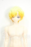 画像1: 悸動瞬息 シチリアの追憶/西西里往事 エドアルド ゴールデンレトリバー Y-26-06-09-114-WT-ZY (1)
