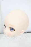画像3: DD/DDH-27 カスタムヘッド Y-26-06-02-010-WT-ZY (3)