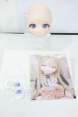 画像4: DD/DDH-27 カスタムヘッド Y-26-06-02-010-WT-ZY (4)