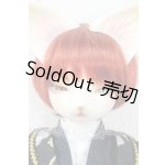 画像: DEAR MINE/DUNE cool ver. 文豪 limited Y-26-06-09-011-WT-ZY