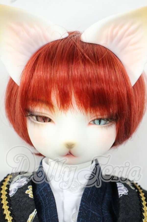 画像1: DEAR MINE/DUNE cool ver. 文豪 limited Y-26-06-09-011-WT-ZY (1)
