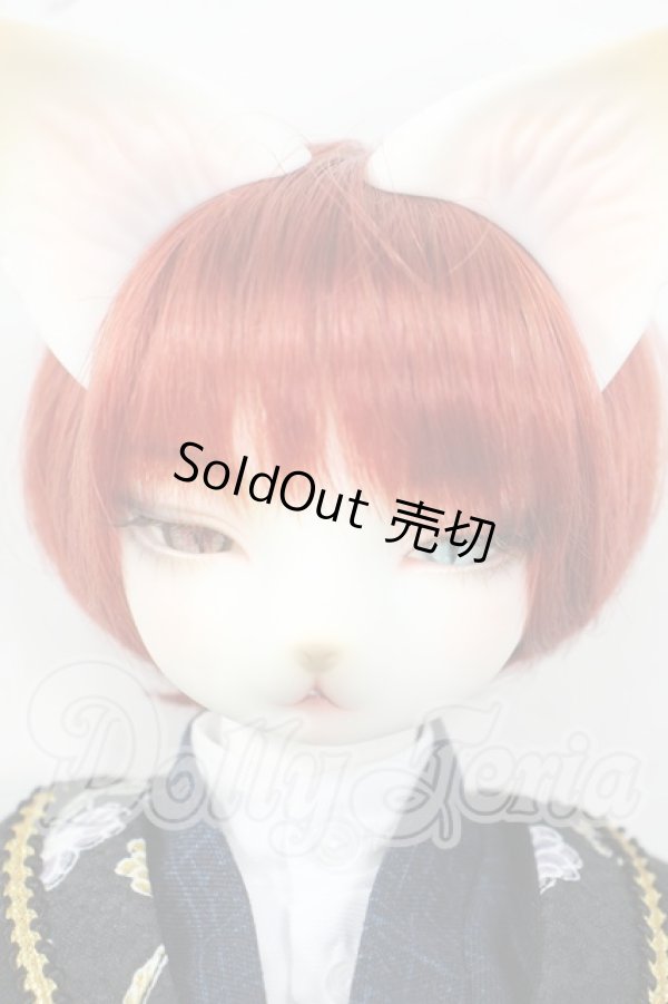 画像1: DEAR MINE/DUNE cool ver. 文豪 limited Y-26-06-09-011-WT-ZY (1)