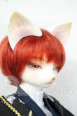 画像2: DEAR MINE/DUNE cool ver. 文豪 limited Y-26-06-09-011-WT-ZY (2)