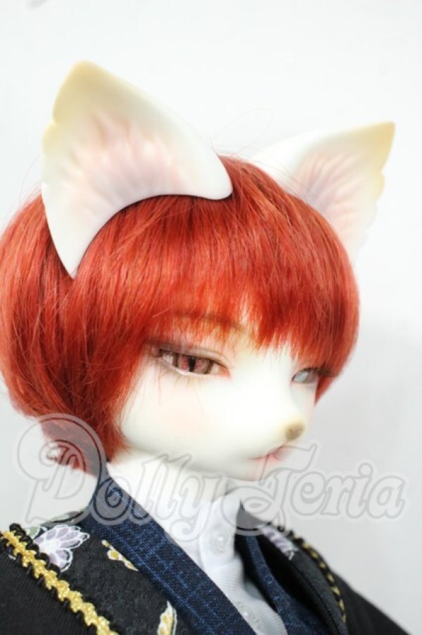 画像2: DEAR MINE/DUNE cool ver. 文豪 limited Y-26-06-09-011-WT-ZY (2)