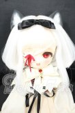画像2: TinyFox/夕暮れ子猫 カサンドラ  Y-26-06-09-111-WT-ZY (2)
