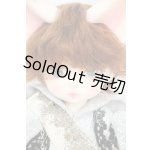 画像: 【DOLK×DEAR MINE】/BENJAMIN Autumn leaves Limited <Special Reissue 2024> Y-26-06-09-005-WT-ZY