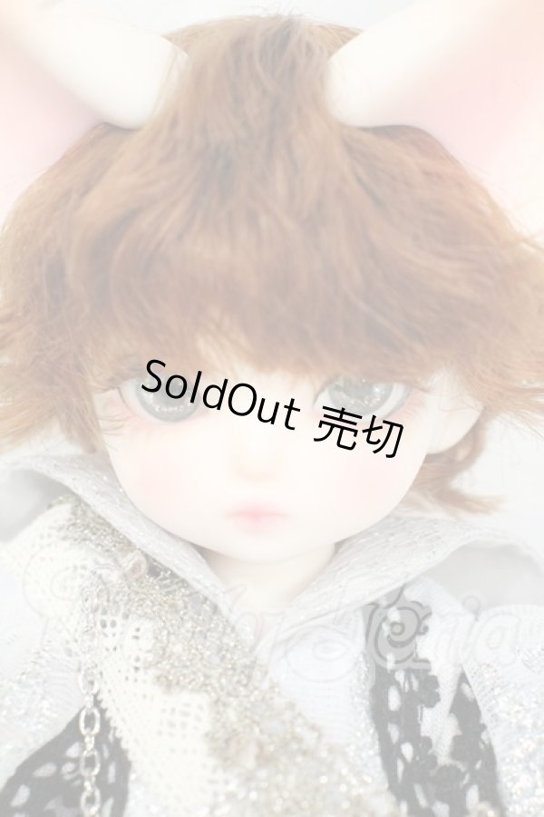 画像1: 【DOLK×DEAR MINE】/BENJAMIN Autumn leaves Limited ＜Special Reissue 2024＞ Y-26-06-09-005-WT-ZY (1)