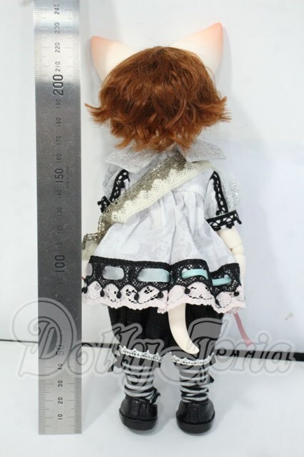 画像6: 【DOLK×DEAR MINE】/BENJAMIN Autumn leaves Limited ＜Special Reissue 2024＞ Y-26-06-09-005-WT-ZY (6)