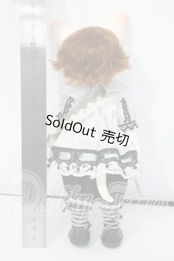 画像6: 【DOLK×DEAR MINE】/BENJAMIN Autumn leaves Limited ＜Special Reissue 2024＞ Y-26-06-09-005-WT-ZY (6)