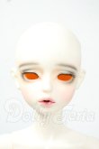 画像1: FOVEO/1/4 Delma Y-26-06-09-004-WT-ZY (1)
