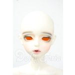 画像: FOVEO/1/4 Delma Y-26-06-09-004-WT-ZY
