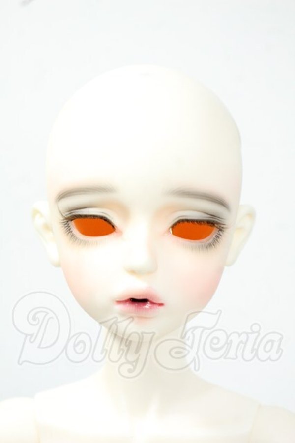 画像1: FOVEO/1/4 Delma Y-26-06-09-004-WT-ZY (1)