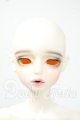 画像: FOVEO/1/4 Delma Y-26-06-09-004-WT-ZY