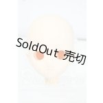 画像: オビツ50/50-02ヘッド ホワイティ Y-26-06-09-034-WT-ZY