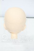 画像2: オビツ50/50-02ヘッド ホワイティ Y-26-06-09-034-WT-ZY (2)