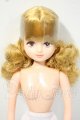 画像: リカちゃんキャッスル/パレットF　おたのしみドール Y-26-06-09-196-WT-ZY