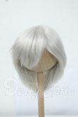 画像1: 7-8inch/ウィッグ Y-26-06-16-258-WT-ZY (1)