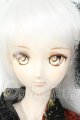 画像: DDdy/ドリームチョイスDC-H-07ヘッド Y-26-06-23-091-WT-ZY