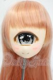 画像1: PARABOX/PB6006　ひとつめカスタムヘッド Y-26-06-23-093-WT-ZY (1)
