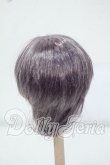 画像2: 6-7inch/ウィッグ Y-26-06-30-060-WT-ZY (2)