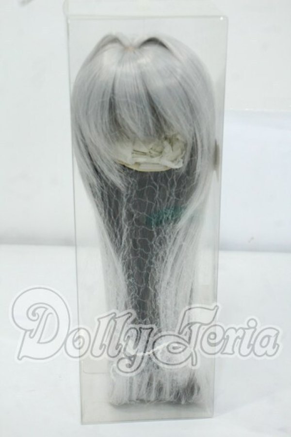 画像1: 9inch/みさんとるーぷ様製 ウィッグ Y-26-06-30-058-WT-ZY (1)