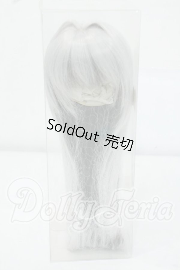 画像1: 9inch/みさんとるーぷ様製 ウィッグ Y-26-06-30-058-WT-ZY (1)